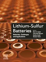 Télécharger le livre :  Lithium-Sulfur Batteries