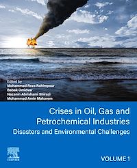 Téléchargez le livre :  Crises in Oil, Gas and Petrochemical Industries