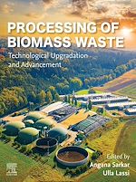 Télécharger le livre :  Processing of Biomass Waste