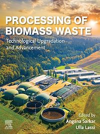Téléchargez le livre :  Processing of Biomass Waste
