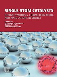 Téléchargez le livre :  Single Atom Catalysts