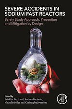 Télécharger le livre :  Severe Accidents in Sodium Fast Reactors