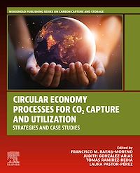 Téléchargez le livre :  Circular Economy Processes for CO2 Capture and Utilization