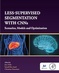 Téléchargez le livre :  Less-Supervised Segmentation with CNNs