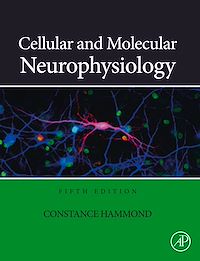 Téléchargez le livre :  Cellular and Molecular Neurophysiology