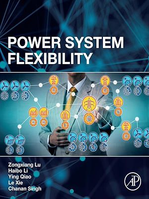 Téléchargez le livre :  Power System Flexibility