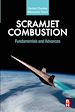 Télécharger le livre :  Scramjet Combustion