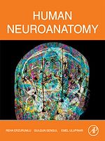 Télécharger le livre :  Human Neuroanatomy