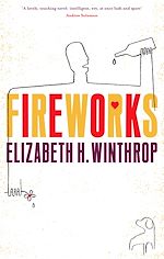 Download this eBook Fireworks