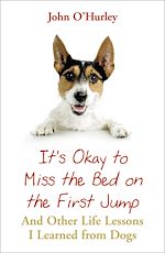 Download this eBook It's OK to Miss the Bed on the First Jump