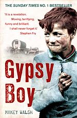 Télécharger le livre :  Gypsy Boy