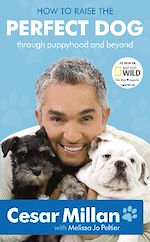 Télécharger le livre :  How to Raise the Perfect Dog