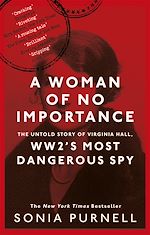 Download this eBook A Woman of No Importance