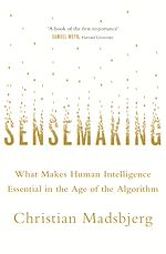 Télécharger le livre :  Sensemaking