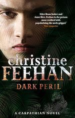 Télécharger le livre :  Dark Peril