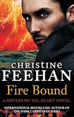 Télécharger le livre :  Fire Bound