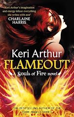 Télécharger le livre :  Flameout