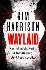 Télécharger le livre :  Waylaid