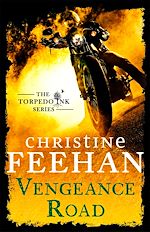 Télécharger le livre :  Vengeance Road