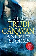Télécharger le livre :  Angel of Storms