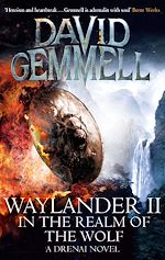 Download this eBook Waylander II