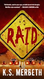 Download this eBook Raid