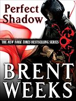 Download this eBook Perfect Shadow