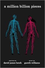 Télécharger le livre :  a million billion pieces