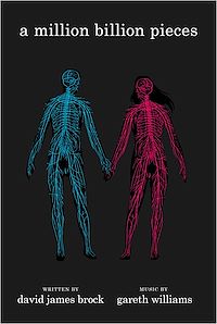 Téléchargez le livre :  a million billion pieces