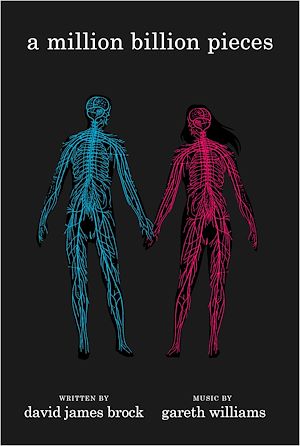 Téléchargez le livre :  a million billion pieces