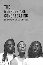 Download this eBook The Negroes Are Congregating