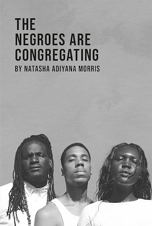 Download the eBook: The Negroes Are Congregating