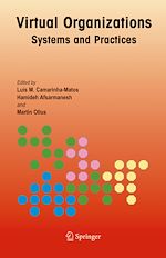 Télécharger le livre :  Virtual Organizations