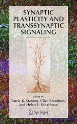 Télécharger le livre :  Synaptic Plasticity and Transsynaptic Signaling