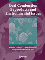 Télécharger le livre :  Coal Combustion Byproducts and Environmental Issues