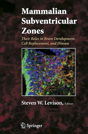Téléchargez le livre :  Mammalian Subventricular Zones