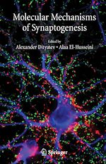Télécharger le livre :  Molecular Mechanisms of Synaptogenesis