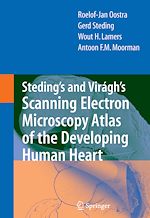 Télécharger le livre :  Steding's and Virágh's Scanning Electron Microscopy Atlas of the Developing Human Heart