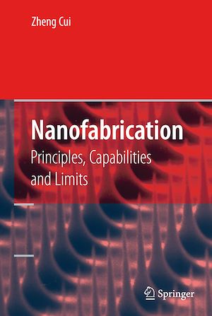Téléchargez le livre :  Nanofabrication