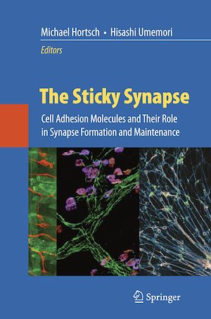 Téléchargez le livre :  The Sticky Synapse
