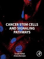 Télécharger le livre :  Cancer Stem Cells and Signaling Pathways