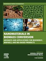 Télécharger le livre :  Nanomaterials in Biomass Conversion