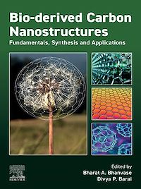 Téléchargez le livre :  Bio-derived Carbon Nanostructures