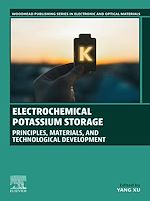 Télécharger le livre :  Electrochemical Potassium Storage