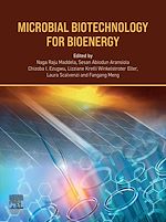 Télécharger le livre :  Microbial Biotechnology for Bioenergy