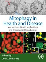 Télécharger le livre :  Mitophagy in Health and Disease