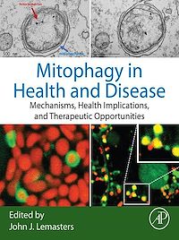 Téléchargez le livre :  Mitophagy in Health and Disease