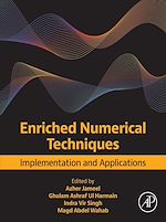 Télécharger le livre :  Enriched Numerical Techniques