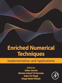 Téléchargez le livre :  Enriched Numerical Techniques