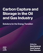 Télécharger le livre :  Carbon Capture and Storage in the Oil and Gas Industry